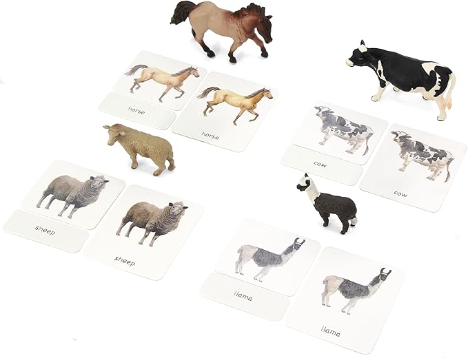 12pcs Farm Animal Replicas with Matching Montessori 3-Part Cards Language Learning Material