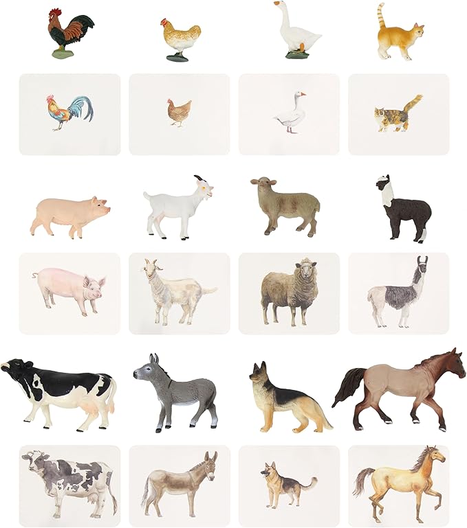 Montessori Language Materials Objects with Similar Cards 12pcs Mini Farm Animal Replicas with Matching Picture Cards Preschool Science Education Matching Game