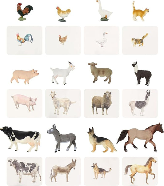 Montessori Language Materials Objects with Similar Cards 12pcs Mini Farm Animal Replicas with Matching Picture Cards Preschool Science Education Matching Game