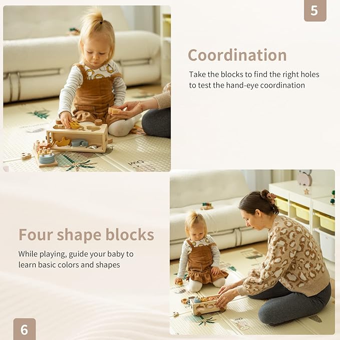 Shape Sorter Toy for Toddlers, Montessori Toy for 1 2 3 Year Wooden Sorting & Stacking Toys, Shape & Color Recognition Preschool Educational Toy Learning Activities for Boys Girls
