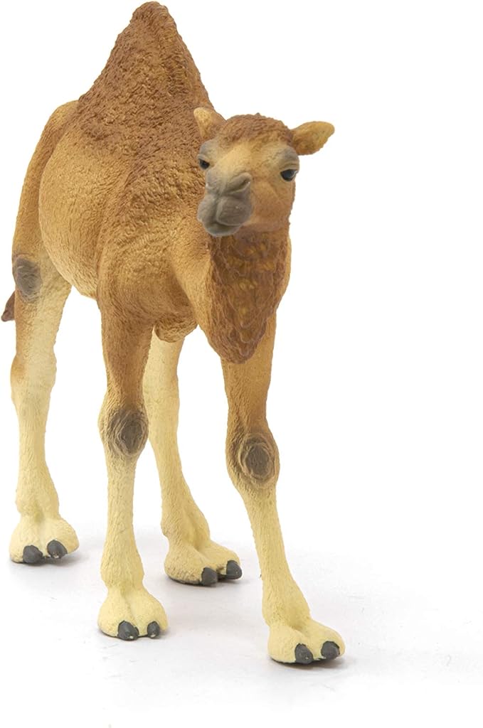 Schleich Wild Life Realistic Dromedary Camel Figurine - Authentic and Highly Detailed Wild Animal Toy, Durable for Education and Fun Play, Perfect for Boys and Girls, Ages 3+, Multicolor, 3.9 inch