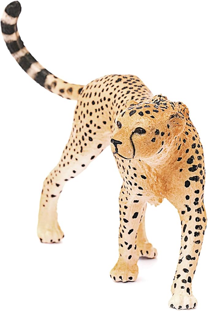 Schleich Wild Life Realistic Female Cheetah Figurine - Authentic and Highly Detailed Wild Animal Toy, Durable for Education and Fun Play for Kids, Perfect for Boys and Girls, Ages 3+
