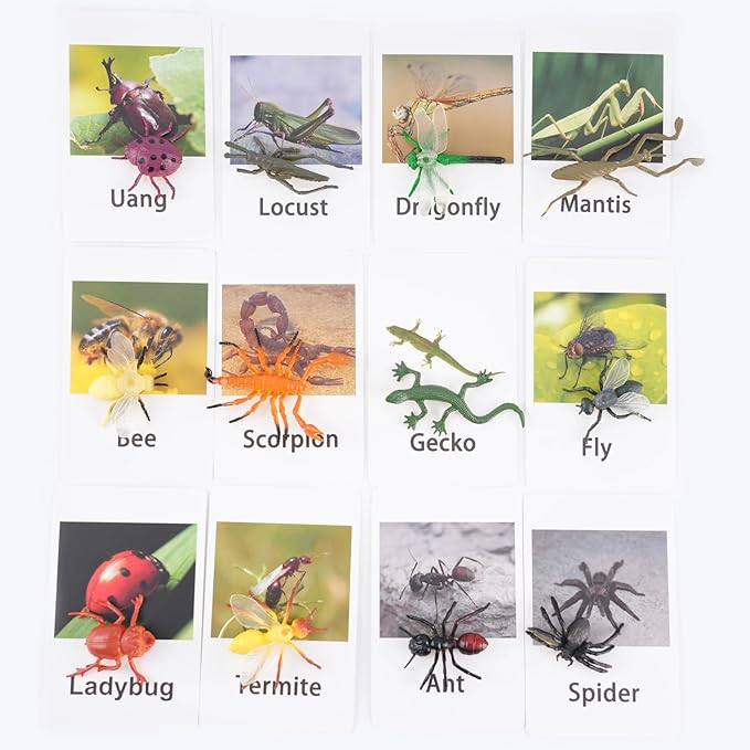 Yikko Montessori Animal Match Cards 48pcs - Insects and Animals Figurines and Cards, Montessori Materials Preschool Infant Toddlers Sorting Toys, Gift for 3 Years + Kids
