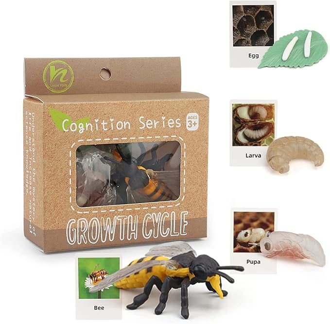 Montessori Animal Match Game Cards Marine Animal Matching Montessori Language Materials Toddlers Preschool Educational Learning Toys Language Materials Shape Sorting Toy