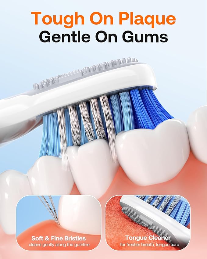 Bitvae Ultrasonic Electric Toothbrush for Adults and Kids, ADA Accepted Travel Electric Toothbrush with Rechargeable 60-Day Battery Life, 8 Toothbrush Heads, 5 Modes, Toothbrush Holder, Purple