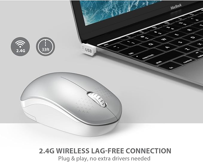 seenda Wireless Mouse, 2.4G Noiseless Mouse with USB Receiver Portable Computer Mice for PC, Tablet, Laptop and Windows/Mac/Linux (White & Silver)