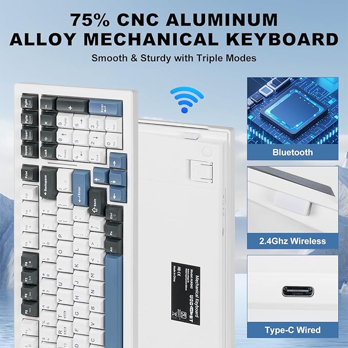 Wireless Mechanical Keyboard BT5.0/2.4GHz/USB, Multi-Color LED with 18+ Modes, Hot-Swappable Custom Keyboard, Red Creamy Switches, Gaming Keyboard for PC/Mac (Blue White)