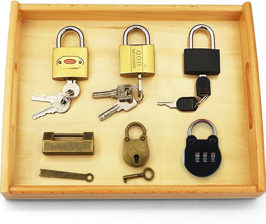 Montessori Lock and Key Toy Set for Toddlers, Montessori Elementary Materials Educational STEM Toy Matching Games Lock Set with Wooden Tray for 3 4 5 Year Old Kids
