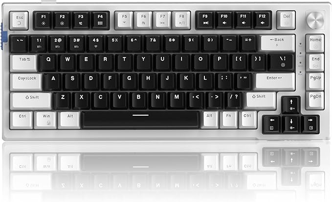 MageGee SKY81 75% Wireless Gasket Mechanical Gaming Keyboard, Hot Swappable RGB Custom Creamy Keyboard w/ 5-Layer Padding, BT/2.4G/USB-C, Knob Control, NKRO for Win/Mac (Mecha, Blue Whale Switch)