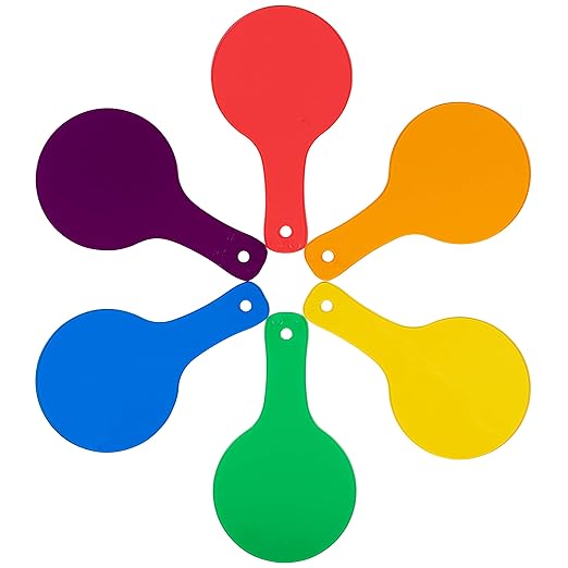 LEARNING ADVANTAGE Color Paddles - Set of 6 - Hands-on Teaching Aid - Color Learning for Toddlers