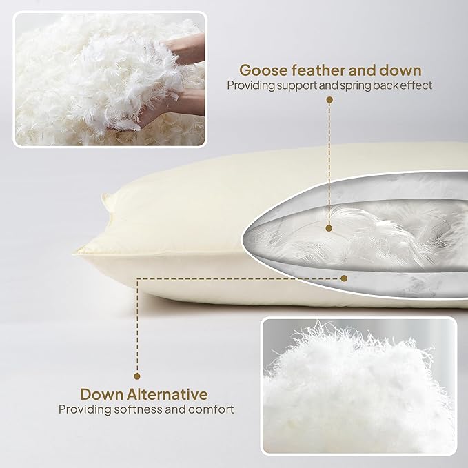 Goose Down Body Pillows for Adults, Large Body Pillow for Side Sleeper, Hugging Feather Body Pillow Insert, Cooling Full Length Long Pillow for Bed with 100% Organic Cotton Shell, Off-White 20" x 60"