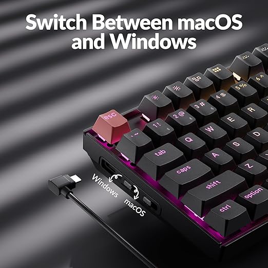Keychron K8 Version 2 TKL Custom Wireless Mechanical Keyboard, QMK Programmable Bluetooth 5.2/Wired, RGB Backlit with Shine-Through PBT Keycaps, Super Brown Switch for Mac Windows Linux