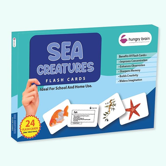 hungry brain Flash Cards for Toddlers, 24 Sea Creatures Flashcards, Double-Sided, Montessori, Educational, Kindergarten - Preschool Learning Activities, Gifts for Kids, 1, 2, 3, 4 Years Babies