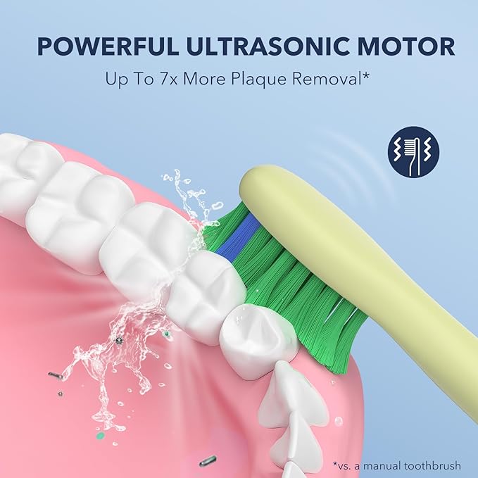 ARISSON Sonic Electric Toothbrush for Adults and Kids, 40,000 VPM Power Toothbrush, 1.5H Fast Charge Ultrasonic Electric Toothbrushes with 2 Minutes Smart Timer, 1.6 Oz Travel Toothbrush, Lime Green