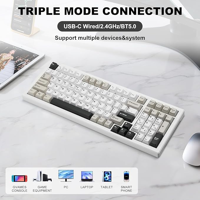 Wireless Game Mechanical Keyboard BT5.0/2.4GHz/USB, Multi-Color LED with 18+ Modes, Hot-Swappable Custom Keyboard, Red Creamy Switches, Gaming Keyboard for PC/Mac (Black White)