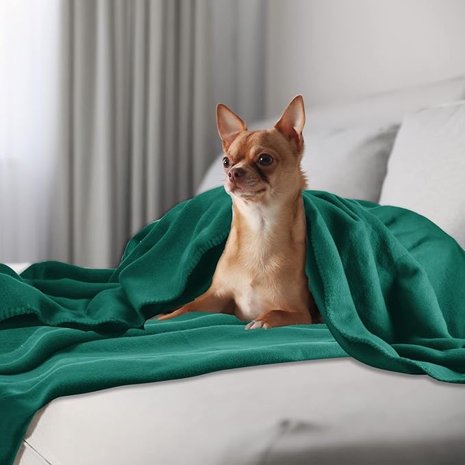 Fleece Throw Blanket Bulk Fleece Blankets Solid Lightweight Warm Soft Cozy Pet-Friendly for Home Bed Sofa Couch Dorm Office Wedding Gifts Travel Airplane Seasons (Dark Green, Pack of 6-50x60 Inches)