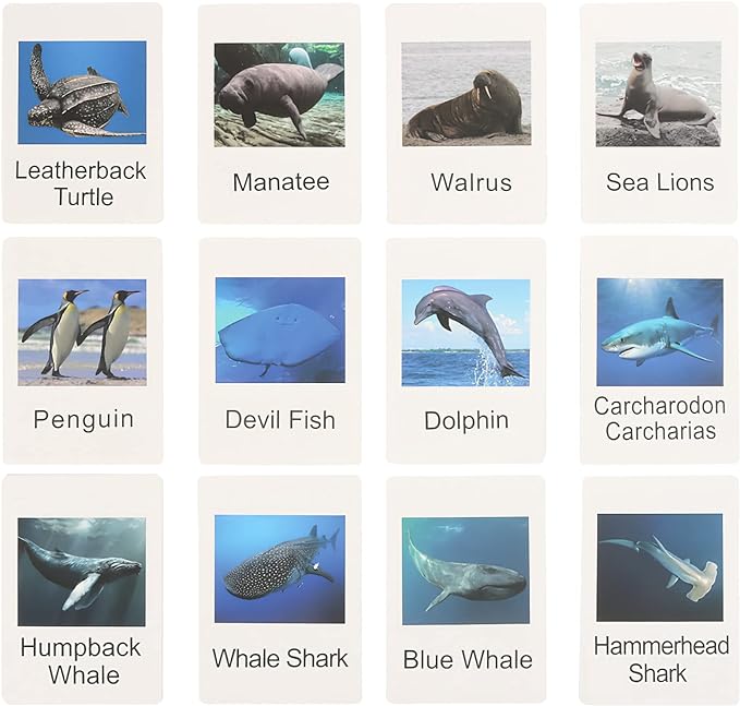 Small Montessori Animal Figures with Flash Cards, Realistic Animal Figurines Toys, Montessori Materials Homeschool Preschool Science Educational Matching Game for Toddler Kids (Sea)