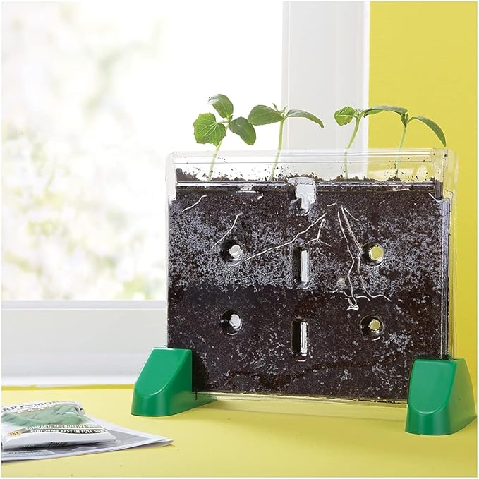 Educational Insights Sprout & Grow Window Plant Growing Kit, Science Kit for Homeschool & Classrooms, Ages 5+