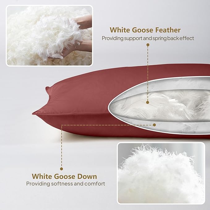 Goose Down Body Pillows for Adults, Large Body Pillow for Side Sleeper, Hugging Feather Body Pillow Insert, Cooling Full Length Long Pillow for Bed with 100% Organic Cotton Shell, (Burgundy 20"x60")