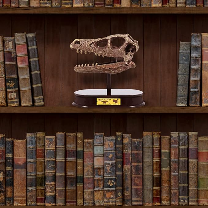 ArtCreativity Dinosaur Excavation Kit for Kids, Velociraptor Skull Excavating Set with Fossil Digging Tools and Stand, Fun Science Activity Toy, Educational Dinosaur Gift for Boys and Girls