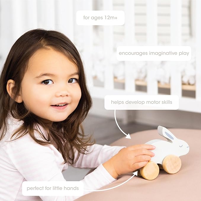 Pearhead Wooden Toy Bunny, Push and Pull Montessori Baby and Toddler Toy, Baby Girl or Baby Boy Nursery Accessory