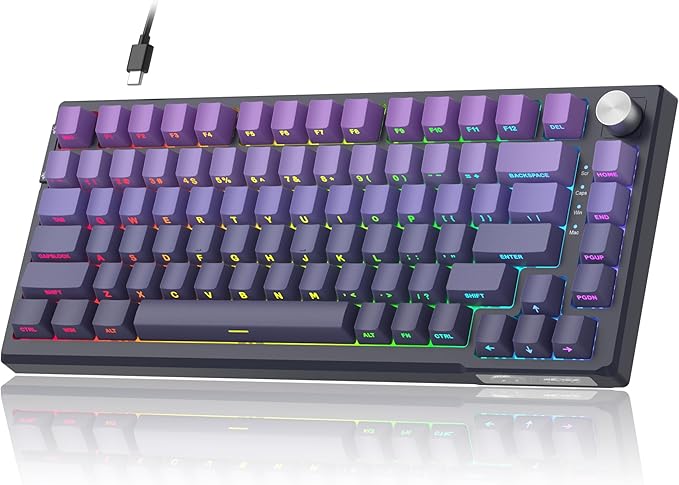 MageGee SKY81 75% Mechanical Gaming Keyboard, RGB Hot Swappable Wired Custom Creamy Keyboards with 5-Layer Sound Dampening, Knob, Side Printed Keycaps for Win/Mac (Dark Purple, Blue Whale Switch)