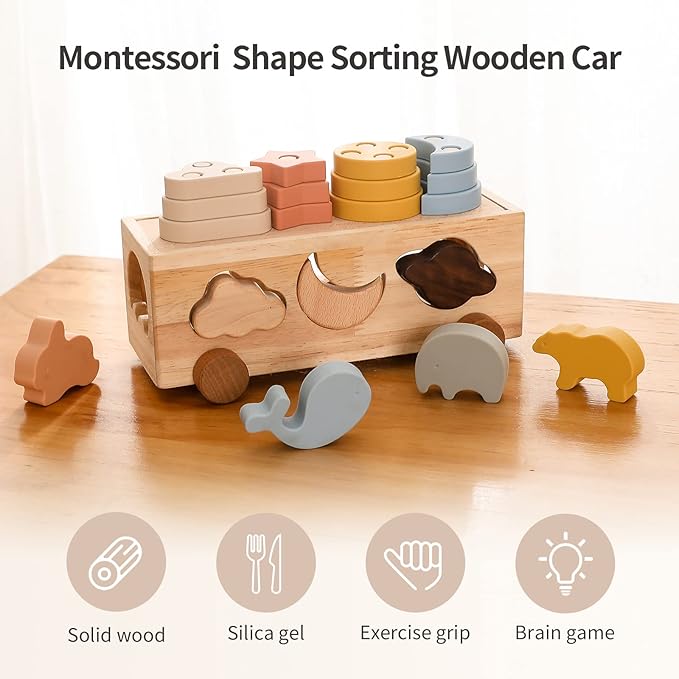 Shape Sorter Toy for Toddlers, Montessori Toy for 1 2 3 Year Wooden Sorting & Stacking Toys, Shape & Color Recognition Preschool Educational Toy Learning Activities for Boys Girls