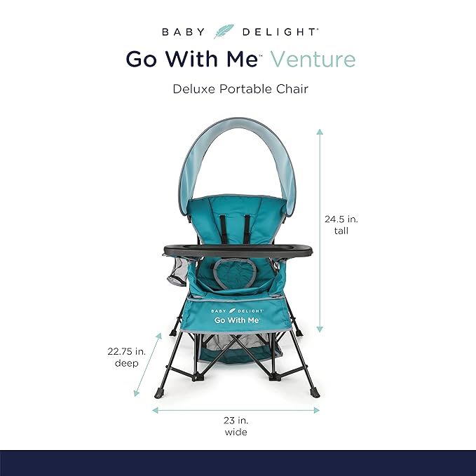 Baby Delight Go with Me Venture Portable Chair | Indoor and Outdoor | Sun Canopy | 3 Child Growth Stages | Teal