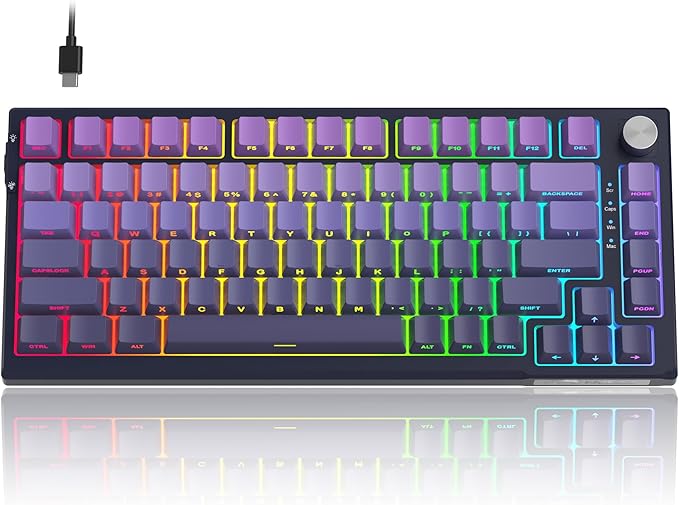 MageGee SKY81 75% Mechanical Gaming Keyboard, RGB Hot Swappable Wired Custom Creamy Keyboards with 5-Layer Sound Dampening, Knob, Side Printed Keycaps for Win/Mac (Dark Purple, Blue Whale Switch)