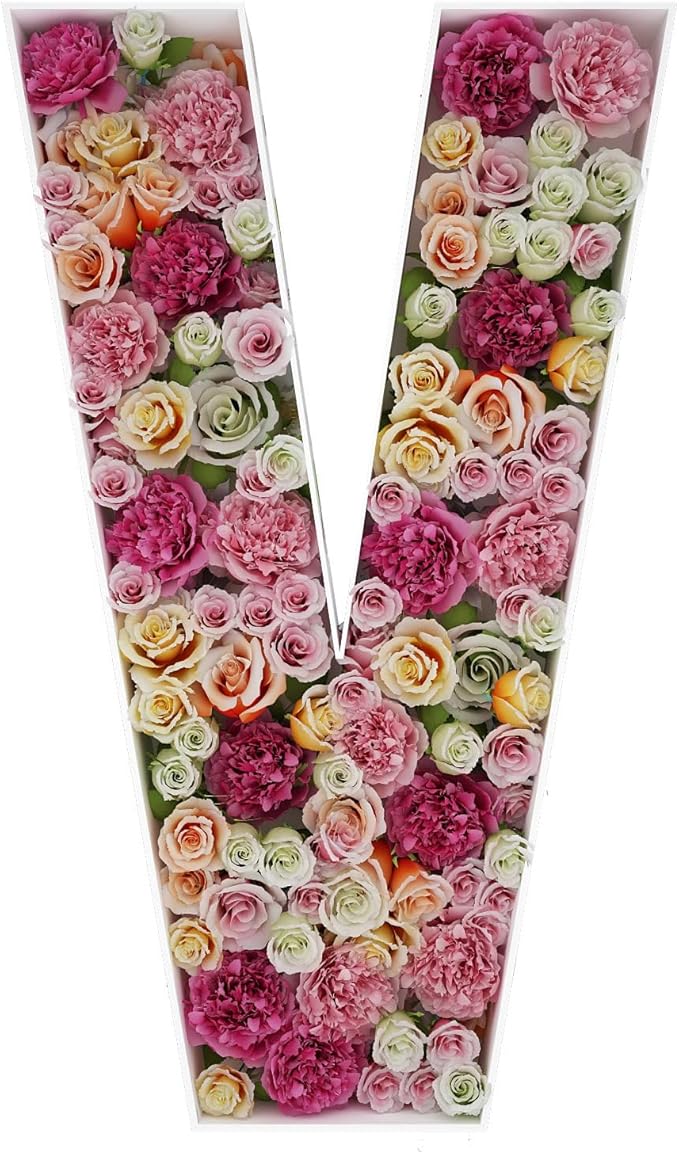 2FT Letter V Mosaic Balloon Frame Letter DIY Fillable Letters Kit for Birthday Party Wedding Backdrop Decor