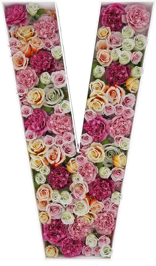 2FT Letter V Mosaic Balloon Frame Letter DIY Fillable Letters Kit for Birthday Party Wedding Backdrop Decor