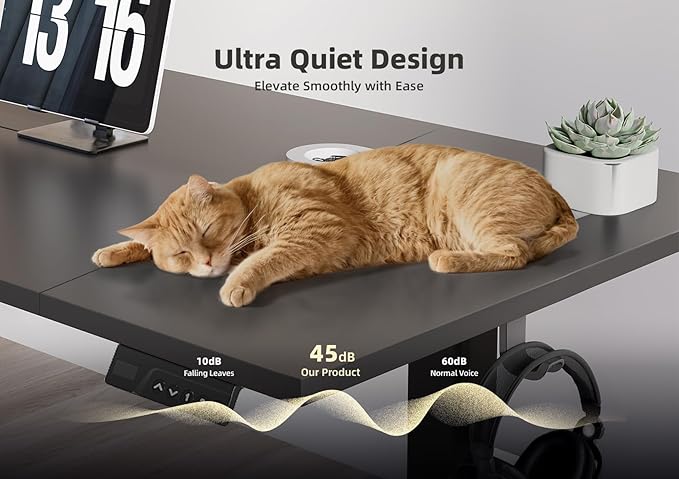 YDN Electric Standing Desk Adjustable Height, 48 x 24 Inches Stand up Desk with Cable Management, Home Office Desks with Splice Board & Black Frame, Black Top