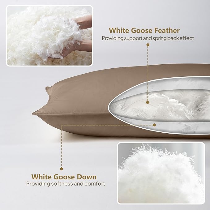 Goose Down Body Pillows for Adults, Large Body Pillow for Side Sleeper, Hugging Feather Body Pillow Insert, Cooling Full Length Long Pillow for Bed with 100% Organic Cotton Shell, (Chocolate 20"x54")