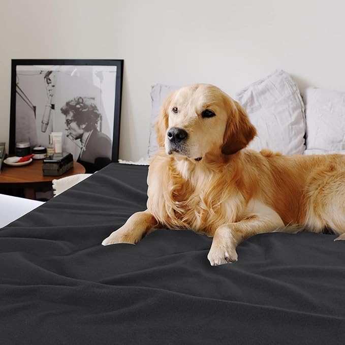 Fleece Throw Blankets Bulk Fleece Blankets Solid Wholesale Lightweight Warm Soft for Pet Bed Sofa Couch Office Wedding Gifts Travel Seasons Assorted #13 50x60 Inches Pack of 6