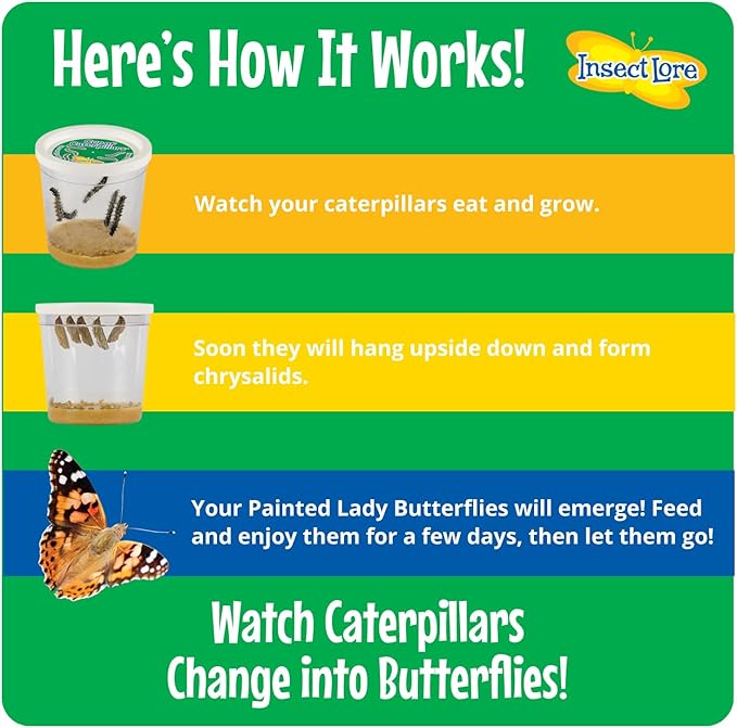 Insect Lore Birthday Butterfly Garden | Butterfly Growing Kit with Live Caterpillars | 5 Live Caterpillars, Reusable Habitat, STEM Butterfly Journal, 10 Inch Birthday Card & More