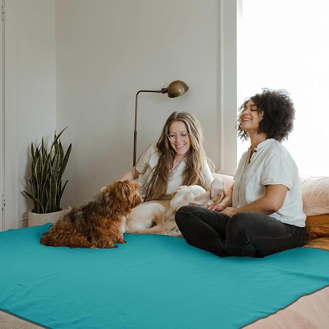 Special SG Glory Fleece Throw Blankets Bulk Fleece Blankets Solid Wholesale Lightweight Warm Soft for Pet Bed Sofa Couch Office Wedding Gifts Travel Seasons (Assorted #8,Pack of 6-50x60 Inches)