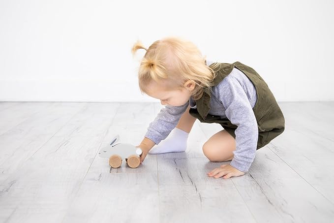 Pearhead Wooden Toy Bunny, Push and Pull Montessori Baby and Toddler Toy, Baby Girl or Baby Boy Nursery Accessory