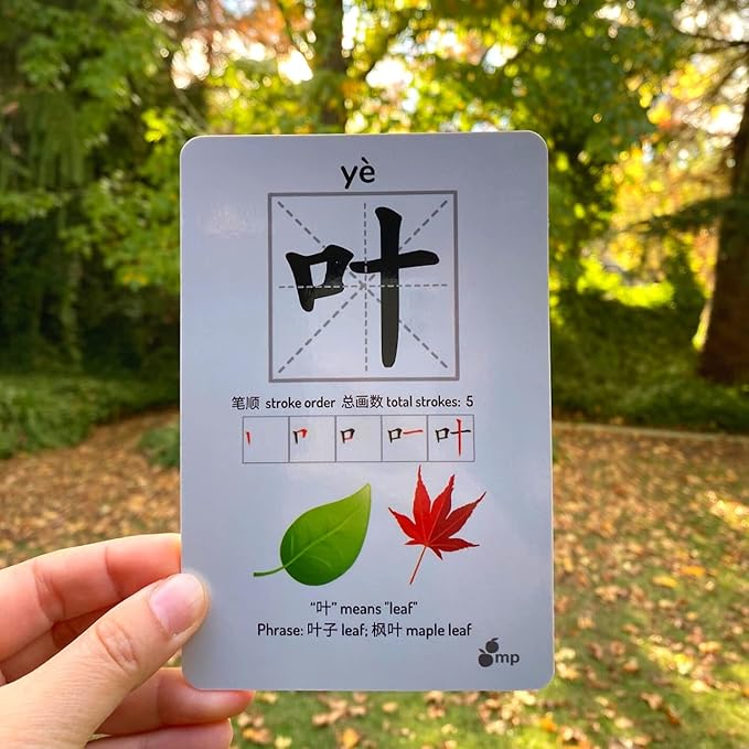 Chinese Flash Cards - 100 Chinese Words | 50 Durable, Coated Mandarin Flashcards: Pinyin, Writing Stroke Order, Card Holder | Montessori Learning Chinese