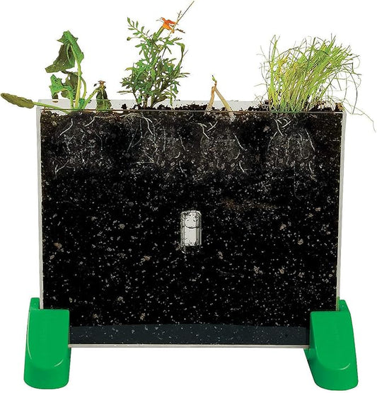 Fun Express Watch It Grow Plant Viewer - 1 Piece - Educational and Learning Activities for Kids