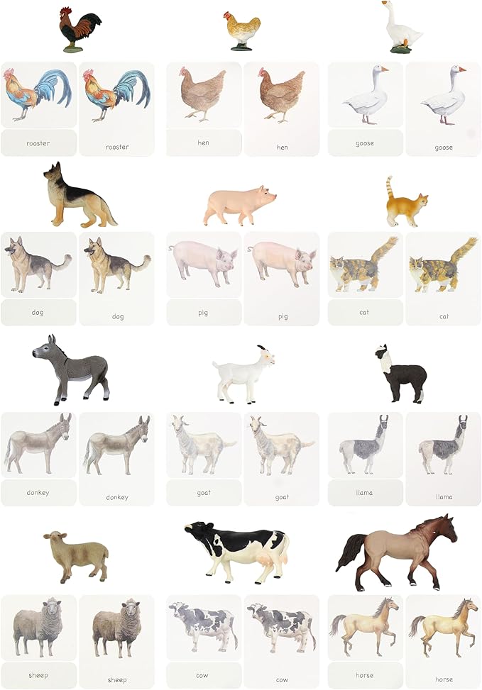 12pcs Farm Animal Replicas with Matching Montessori 3-Part Cards Language Learning Material