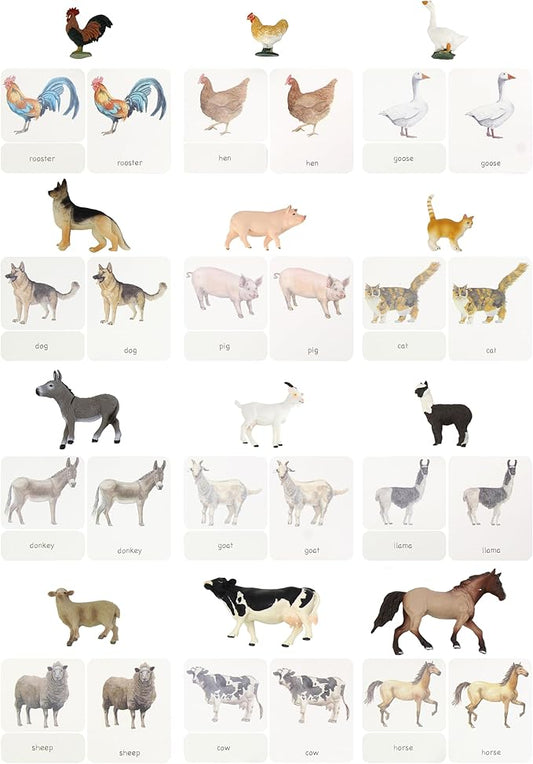 12pcs Farm Animal Replicas with Matching Montessori 3-Part Cards Language Learning Material