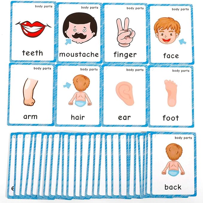 Set of(Body Parts+Insects) Flash Cards for Toddlers | Kids Learning Montessori Pocket Cards Toys | Perfect for Pre-K Decorations Background Wall Stickers,Teacher/Autism Therapists Tools