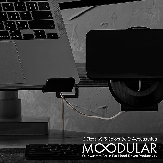 ULTRARM Moodular Add-ons Cable Organizer 2 Pack [Accessory Only - Requires Moodular Wooden Monitor Stand Slide Rails for Use] Black MSA-CO