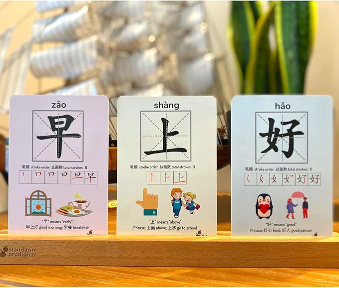 Chinese Flash Cards - 100 Chinese Words | 50 Durable, Coated Mandarin Flashcards: Pinyin, Writing Stroke Order, Card Holder | Montessori Learning Chinese