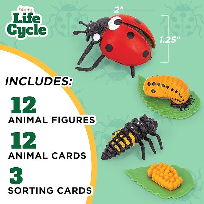 Life Cycle Science Kit Montessori Realistic Figurine, Kids Animal Matching Game with Frog, Ladybug and More Includes 12 Piece, Fun Learning Education Toys Stocking Stuffers for Children 3 4 5 6 7 8