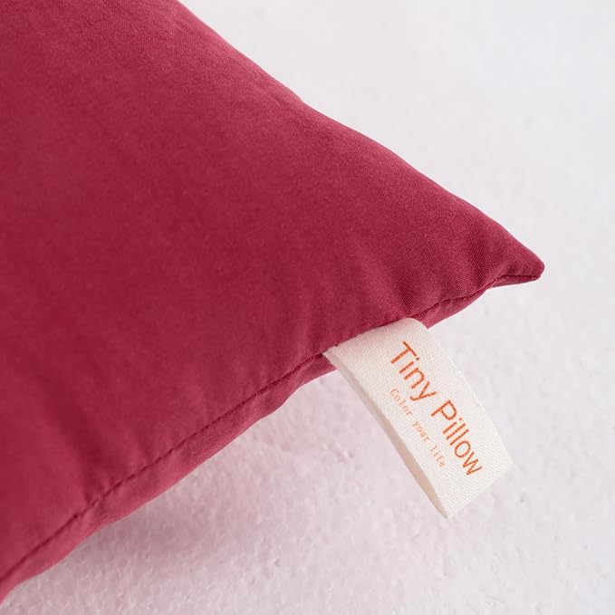 NTBAY Tiny Pillows, Down Alternative 7"x11" Microfiber Mini Pillow for Travel, Pets, Soft Machine Washable Small Pillows for Neck, Wrist, Lumbar and Knee, Red
