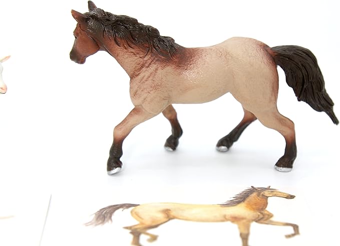 Montessori Language Materials Objects with Similar Cards 12pcs Mini Farm Animal Replicas with Matching Picture Cards Preschool Science Education Matching Game