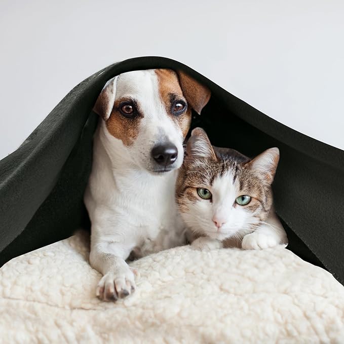 CAI TENG Fleece Blankets Bulk 6 Pack Throw Blankets for Couch Bed 50x60 inch Kids Blanket Warm Soft Cozy Travel Blankets Lightweight Pet-Friendly Small Throws Camping Gifts Green-Grey