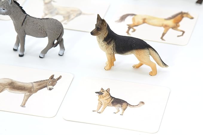 Montessori Language Materials Objects with Similar Cards 12pcs Mini Farm Animal Replicas with Matching Picture Cards Preschool Science Education Matching Game