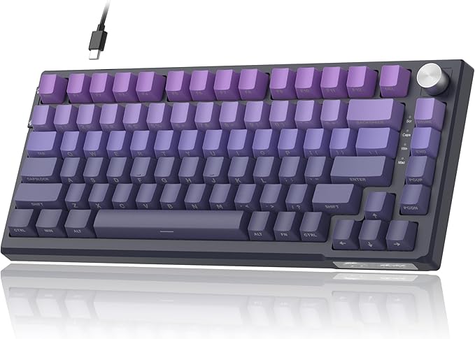 MageGee SKY81 75% Mechanical Gaming Keyboard, RGB Hot Swappable Wired Custom Creamy Keyboards with 5-Layer Sound Dampening, Knob, Side Printed Keycaps for Win/Mac (Dark Purple, Blue Whale Switch)
